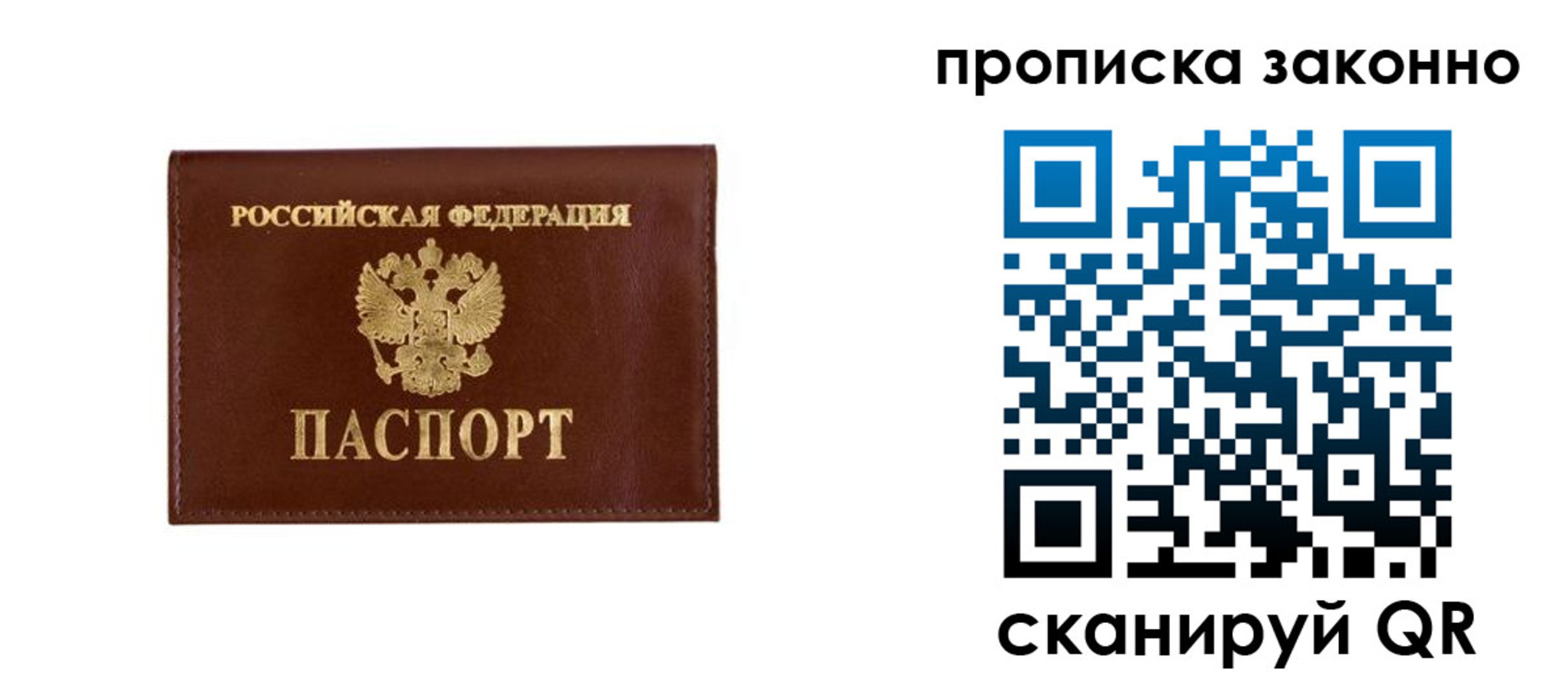 прописка штамп в Зверево